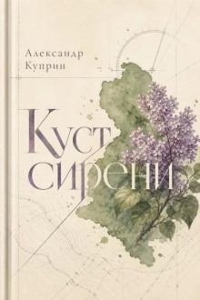 Куст сирени