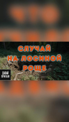 Случай на Лосиной роще