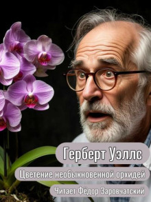 Цветение необыкновенной орхидеи