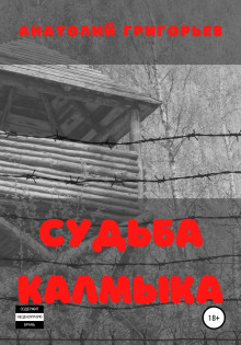 Судьба Калмыка. Том 3