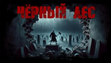 Чёрный лес