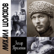 Шолохов. Незаконный