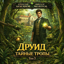 Друид. Том 3. Тайные тропы