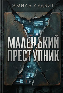 Маленький преступник