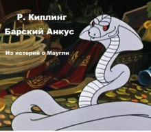 Барский анкус