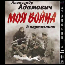 В партизанах